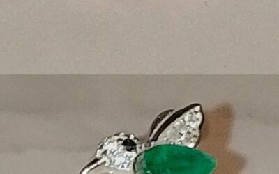COLIBRI EN VUELO